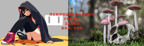 таблы Белокуриха