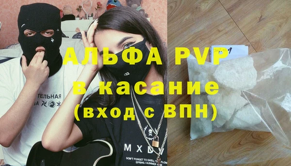 эйфоретик Беломорск