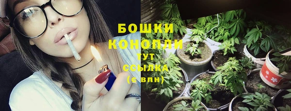 таблы Белокуриха