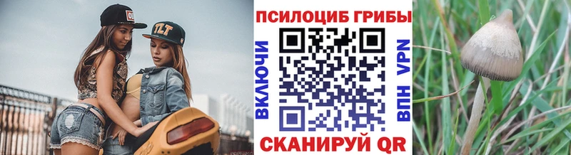 Псилоцибиновые грибы прущие грибы  Разумное 